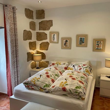 Casa Vista Bandama Vivienda Vacacional Tafira エクステリア 写真