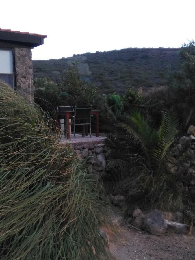 Casa Vista Bandama Vivienda Vacacional Tafira エクステリア 写真