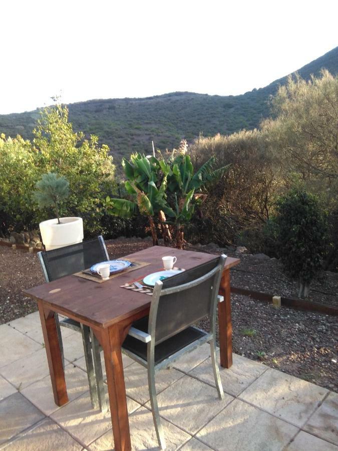 Casa Vista Bandama Vivienda Vacacional Tafira エクステリア 写真