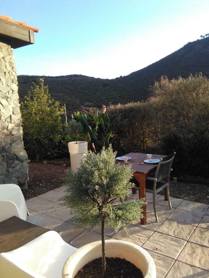 Casa Vista Bandama Vivienda Vacacional Tafira エクステリア 写真